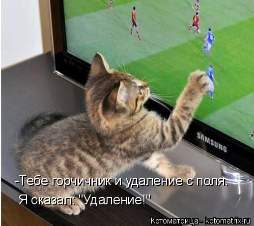 -Тебе горчичник и удаление с поля. Я сказал: "Удаление!"... Котоматрица: -Тебе горчичник и удаление с поля. Я сказал: "Удаление!"
