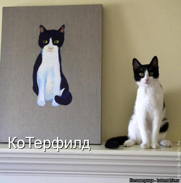 КоТерфилд... Котоматрица: КоТерфилд