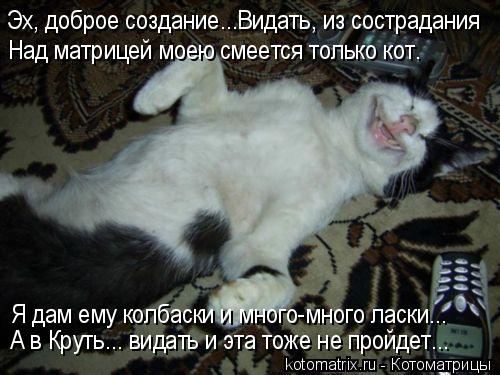 Котоматрица: Эх, доброе создание...Видать, из сострадания Над матрицей моею смеется только кот. Я дам ему колбаски и много-много ласки... А в Круть... видать 