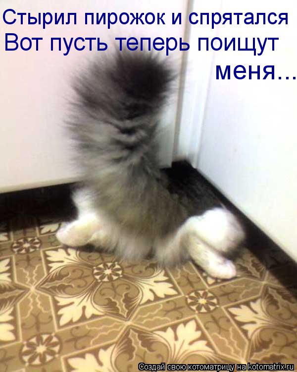 Стырил пирожок и спрятался Вот пусть теперь поищут меня...... Котоматрица: Стырил пирожок и спрятался Вот пусть теперь поищут меня...