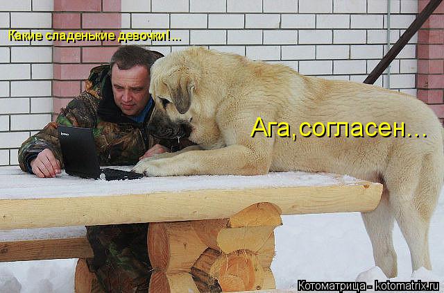 Какие сладенькие девочки!... Ага,согласен...... Котоматрица: Какие сладенькие девочки!... Ага,согласен...