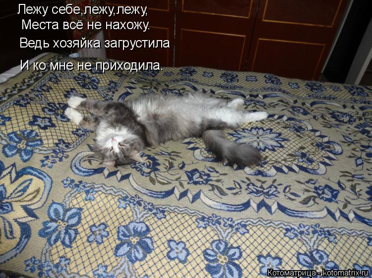 Лежу себе,лежу,лежу, Места всё не нахожу. Ведь хозяйка загрустила И ко мне не приходила.... Котоматрица: Лежу себе,лежу,лежу, Места всё не нахожу. Ведь хозяйка загрустила И ко мне не приходила.
