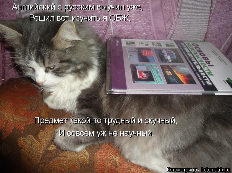 Английский с русским выучил уже, Решил вот изучить я ОБЖ, Предмет какой-то трудный и скучный, И совсе... Котоматрица: Английский с русским выучил уже, Решил вот изучить я ОБЖ, Предмет какой-то трудный и скучный, И совсем уж не научный.