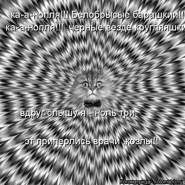 ка-а-нопля!!! Белобрысые барашкии!!! ка-а-нопля!!! черные везде кругляяшки!!! эт приперлись врачи... Котоматрица: ка-а-нопля!!! Белобрысые барашкии!!! ка-а-нопля!!! черные везде кругляяшки!!! эт приперлись врачи ,козлы!! вдруг слышу я - ноль три