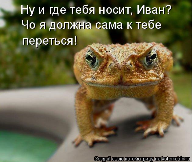 Ну и где тебя носит, Иван? Чо я должна сама к тебе переться!... Котоматрица: Ну и где тебя носит, Иван? Чо я должна сама к тебе переться!