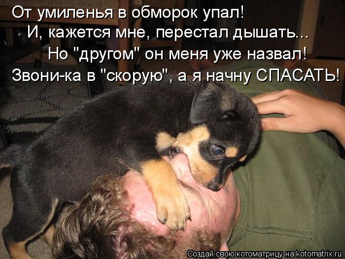 И, кажется мне, перестал дышать... От умиленья в обморок упал! Но "другом" он меня уже назвал! Звони-... Котоматрица: И, кажется мне, перестал дышать... От умиленья в обморок упал! Но "другом" он меня уже назвал! Звони-ка в "скорую", а я начну СПАСАТЬ!