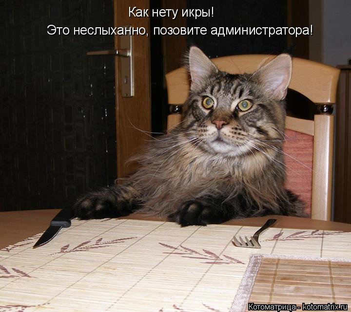 Котоматрица: Как нету икры!  Это неслыханно, позовите администратора!