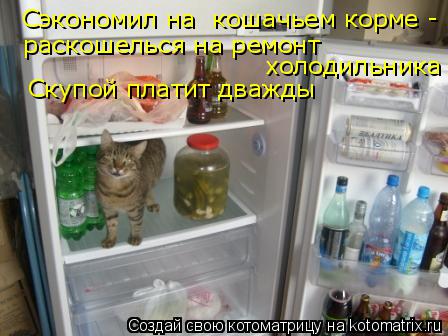 Сэкономил на кошачьем корме - раскошелься на ремонт холодильника Скупой платит дважды... Котоматрица: Сэкономил на кошачьем корме - раскошелься на ремонт холодильника Скупой платит дважды
