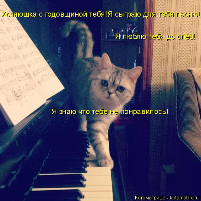 Котоматрица: Хозяюшка с годовщиной тебя!Я сыграю для тебя песню! Я люблю тебя до слёз! Я знаю что тебе не понравилось!