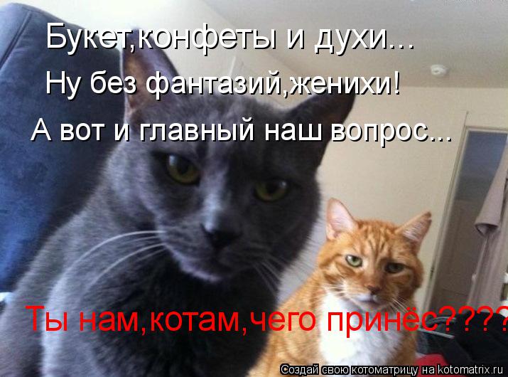 Котоматрица: Букет,конфеты и духи... Ну без фантазий,женихи! А вот и главный наш вопрос... Ты нам,котам,чего принёс????