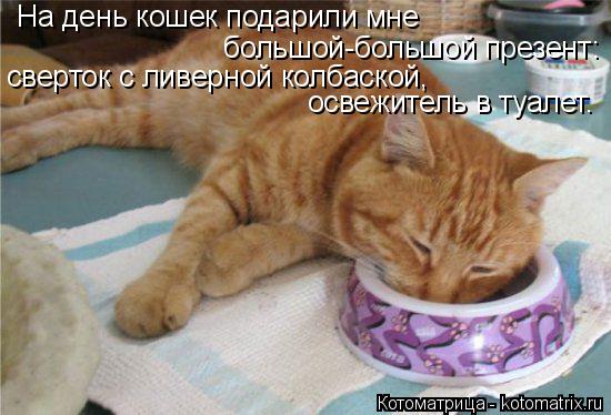 На день кошек подарили мне большой-большой презент: сверток с ливерной колбаской, освежитель в туалет... Котоматрица: На день кошек подарили мне большой-большой презент: сверток с ливерной колбаской, освежитель в туалет.