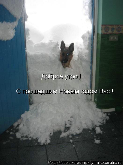 Котоматрица: Доброе утро ! С прошедшим Новым годом Вас !