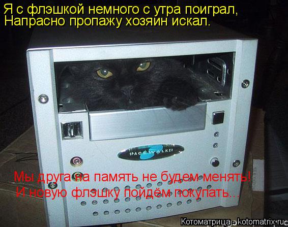 Я с флэшкой немного с утра поиграл, Напрасно пропажу хозяин искал. Мы друга на память не будем менять... Котоматрица: Я с флэшкой немного с утра поиграл, Напрасно пропажу хозяин искал. Мы друга на память не будем менять! И новую флэшку пойдём покупать...