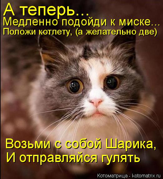 Котоматрица: А теперь... Медленно подойди к миске... Положи котлету, (а желательно две) Возьми с собой Шарика, И отправляйся гулять