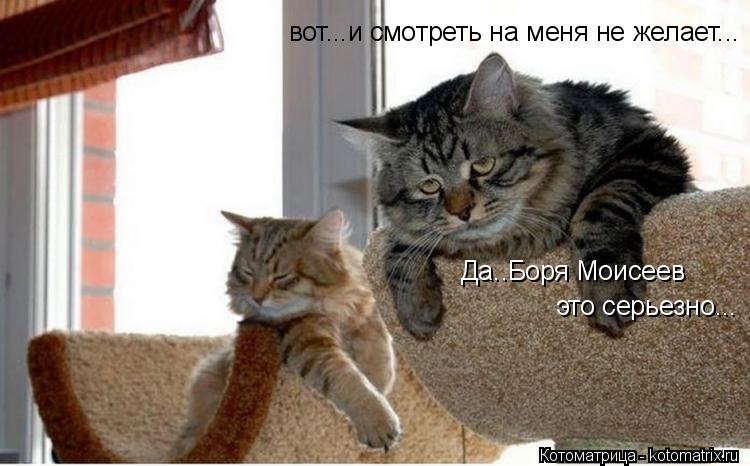 Да..Боря Моисеев это серьезно... вот...и смотреть на меня не желает...... Котоматрица: Да..Боря Моисеев это серьезно... вот...и смотреть на меня не желает...