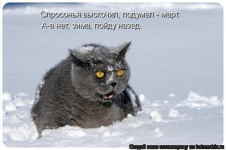 Котоматрица: Спросонья выскочил, подумал - март. А-а нет, зима, пойду назад.
