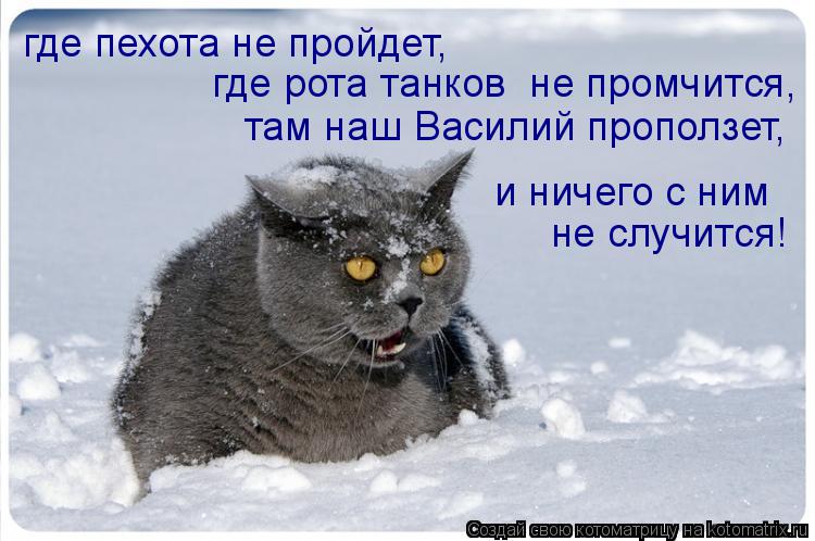 Котоматрица: где пехота не пройдет,  где рота танков  не промчится,  там наш Василий проползет, и ничего с ним  не случится!