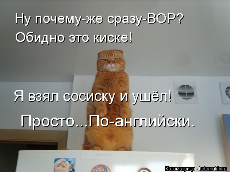 Ну почему-же сразу-ВОР? Обидно это киске! Я взял сосиску и ушёл! Просто...По-английски.... Котоматрица: Ну почему-же сразу-ВОР? Обидно это киске! Я взял сосиску и ушёл! Просто...По-английски.