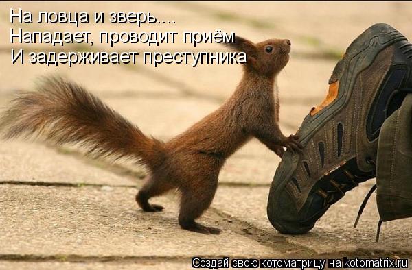 На ловца и зверь.... Нападает, проводит приём И задерживает преступника... Котоматрица: На ловца и зверь.... Нападает, проводит приём И задерживает преступника