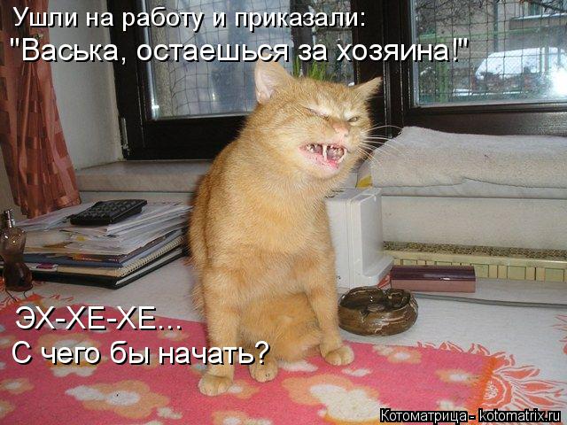 Котоматрица: Ушли на работу и приказали: "Васька, остаешься за хозяина!" ЭХ-ХЕ-ХЕ... С чего бы начать?