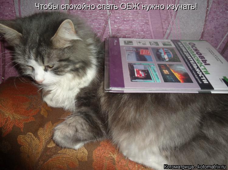 Чтобы спокойно спать ОБЖ нужно изучать!... Котоматрица: Чтобы спокойно спать ОБЖ нужно изучать!