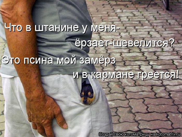 Что в штанине у меня- ёрзает-шевелится? Это псина мой замёрз и в кармане греется!... Котоматрица: Что в штанине у меня- ёрзает-шевелится? Это псина мой замёрз и в кармане греется!