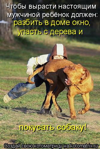 Чтобы вырасти настоящим мужчиной ребёнок должен: разбить в доме окно, упасть с дерева и покусать соба... Котоматрица: Чтобы вырасти настоящим мужчиной ребёнок должен: разбить в доме окно, упасть с дерева и покусать собаку!