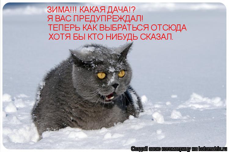 ЗИМА!!! КАКАЯ ДАЧА!? Я ВАС ПРЕДУПРЕЖДАЛ! ТЕПЕРЬ КАК ВЫБРАТЬСЯ ОТСЮДА ХОТЯ БЫ КТО НИБУДЬ СКАЗАЛ.... Котоматрица: ЗИМА!!! КАКАЯ ДАЧА!? Я ВАС ПРЕДУПРЕЖДАЛ! ТЕПЕРЬ КАК ВЫБРАТЬСЯ ОТСЮДА ХОТЯ БЫ КТО НИБУДЬ СКАЗАЛ.