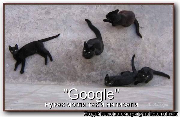 Котоматрица: "Google" ну,как могли так и написали