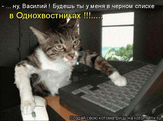 Котоматрица: - ... ну, Василий ! Будешь ты у меня в черном списке в Однохвостниках !!!.....