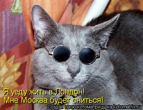 Котоматрица: Мне Москва будет сниться! Я уеду жить в Лондон!