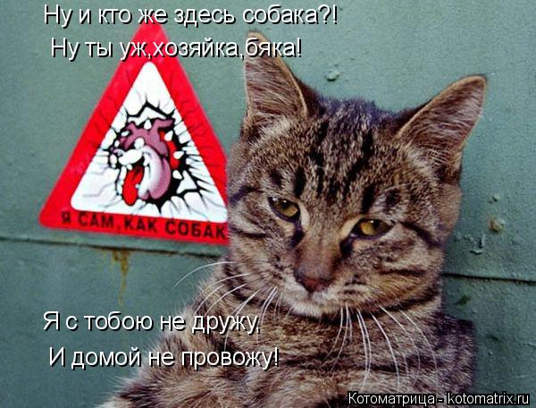 Ну и кто же здесь собака?! Ну ты уж,хозяйка,бяка! Я с тобою не дружу, И домой не провожу!... Котоматрица: Ну и кто же здесь собака?! Ну ты уж,хозяйка,бяка! Я с тобою не дружу, И домой не провожу!