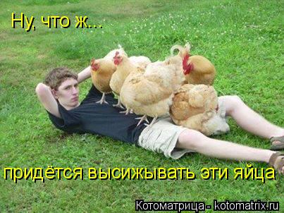 Ну, что ж... придётся высижывать эти яйца... Котоматрица: Ну, что ж... придётся высижывать эти яйца
