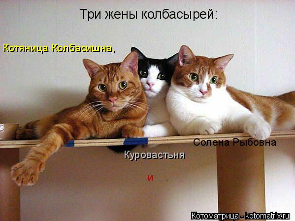 Три жены колбасырей: Котяница Колбасишна, Куровастьня и Солена Рыбовна... Котоматрица: Три жены колбасырей: Котяница Колбасишна, Куровастьня и Солена Рыбовна