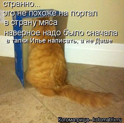 Котоматрица: странно... это не похоже на портал в страну мяса наверное надо было сначала  в тапки Илье написать, а не Даше
