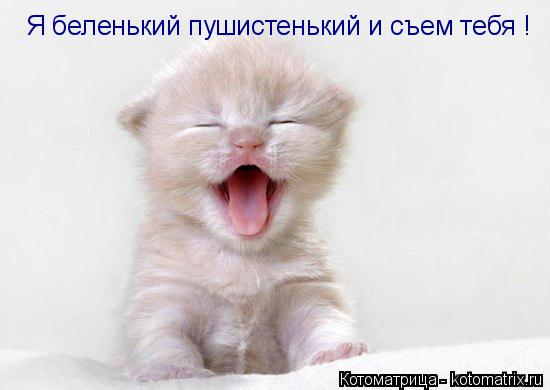 Я беленький пушистенький и съем тебя !... Котоматрица: Я беленький пушистенький и съем тебя !