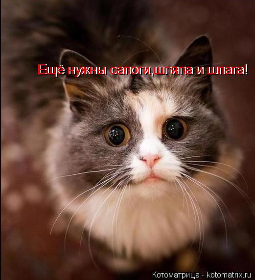 Ещё нужны сапоги,шляпа и шпага! Ещё нужны сапоги,шляпа и шпага!... Котоматрица: Ещё нужны сапоги,шляпа и шпага! Ещё нужны сапоги,шляпа и шпага!