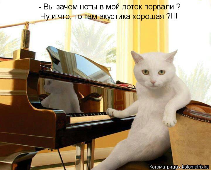 - Вы зачем ноты в мой лоток порвали ? Ну и что, то там акустика хорошая ?!!!... Котоматрица: - Вы зачем ноты в мой лоток порвали ? Ну и что, то там акустика хорошая ?!!!