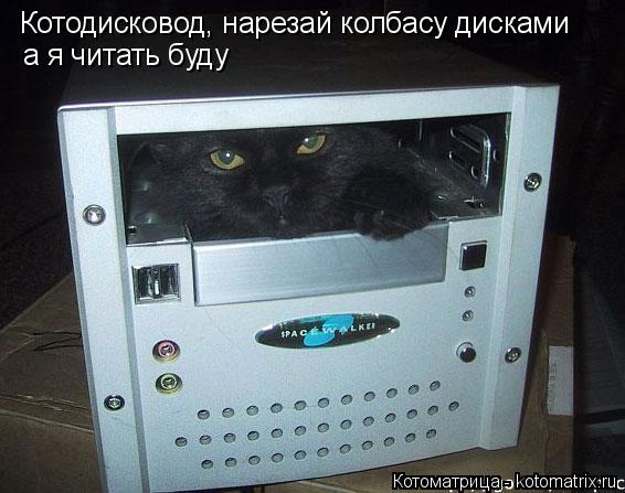 Котодисковод, нарезай колбасу дисками а я читать буду... Котоматрица: Котодисковод, нарезай колбасу дисками а я читать буду