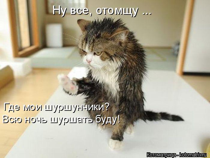 Ну все, отомщу ... Где мои шуршунчики? Всю ночь шуршать буду!... Котоматрица: Ну все, отомщу ... Где мои шуршунчики? Всю ночь шуршать буду!