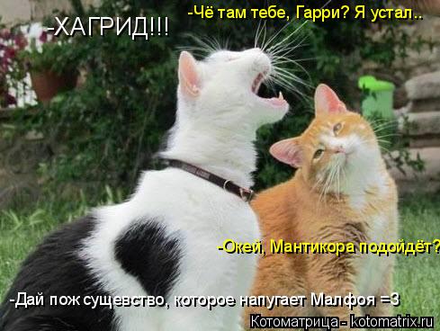 -ХАГРИД!!! -Чё там тебе, Гарри? Я устал.. -Дай пож сущевство, которое напугает Малфоя =З -Окей, Манти... Котоматрица: -ХАГРИД!!! -Чё там тебе, Гарри? Я устал.. -Дай пож сущевство, которое напугает Малфоя =З -Окей, Мантикора подойдёт?