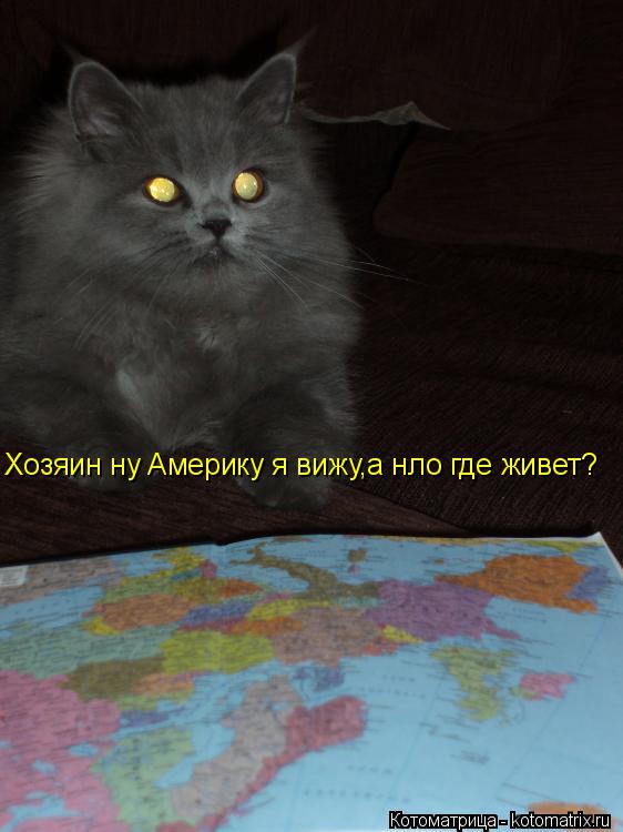 Котоматрица: Хозяин ну Америку я вижу,а нло где живет?
