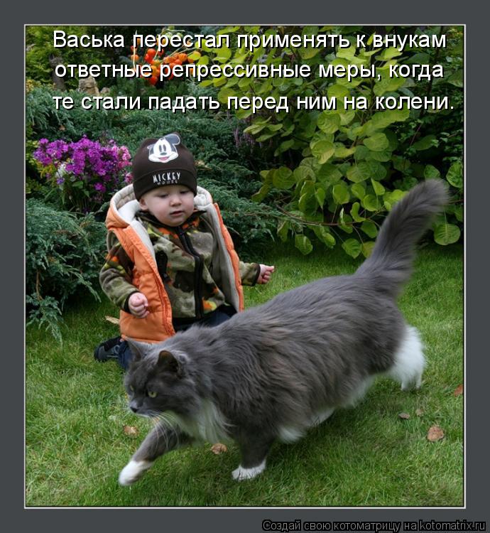 Котоматрица: Васька перестал применять к внукам ответные репрессивные меры, когда те стали падать перед ним на колени.