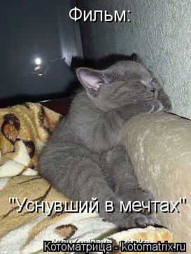 Фильм: "Уснувший в мечтах"... Котоматрица: Фильм: "Уснувший в мечтах"