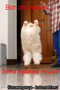 Вот это пушок.... Всем пушкам пушок!... Котоматрица: Вот это пушок.... Всем пушкам пушок!