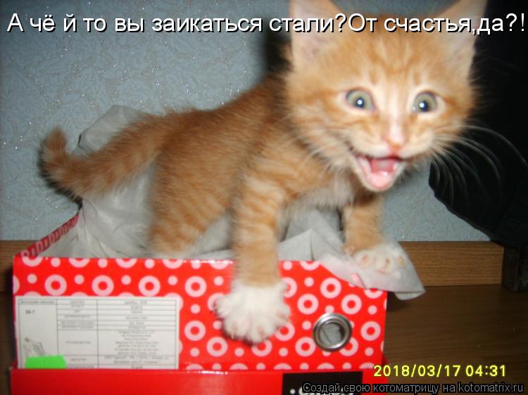 Котоматрица: А чё й то вы заикаться стали?От счастья,да?!