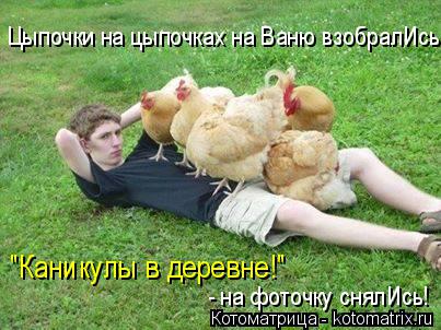 Котоматрица: Цыпочки на цыпочках на Ваню взобралИсь. "Каникулы в деревне!" - на фоточку снялИсь!