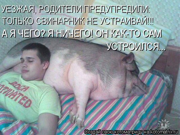 УЕЗЖАЯ, РОДИТЕЛИ ПРЕДУПРЕДИЛИ: ТОЛЬКО СВИНАРНИК НЕ УСТРАИВАЙ!!! А Я ЧЕГО? Я НИЧЕГО! ОН КАК-ТО САМ УС... Котоматрица: УЕЗЖАЯ, РОДИТЕЛИ ПРЕДУПРЕДИЛИ: ТОЛЬКО СВИНАРНИК НЕ УСТРАИВАЙ!!! А Я ЧЕГО? Я НИЧЕГО! ОН КАК-ТО САМ УСТРОИЛСЯ...