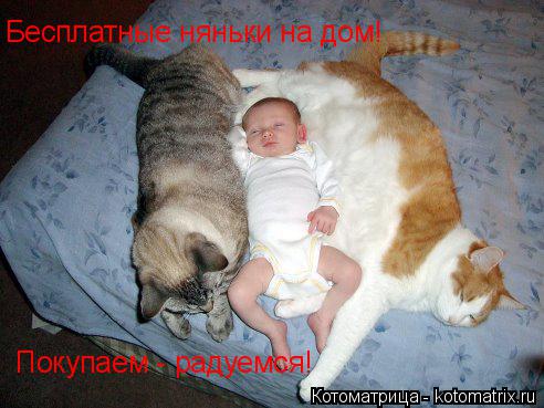 Котоматрица: Бесплатные няньки на дом!  Покупаем - радуемся!