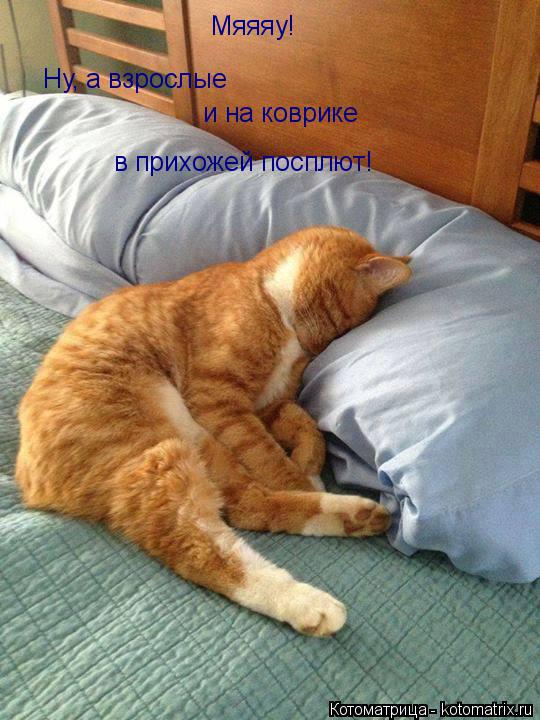 Мяяяу! Ну, а взрослые и на коврике в прихожей посплют!... Котоматрица: Мяяяу! Ну, а взрослые и на коврике в прихожей посплют!